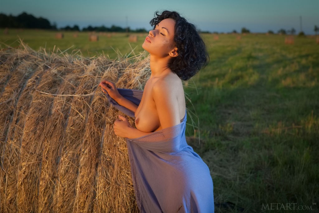 Pammie Lee - Ebony beauty with juicy tits naked outdoors photo shoot
