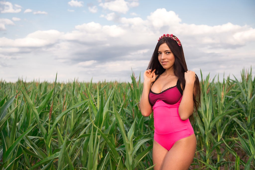 Diana Dulce - Delicate brunette teen beauty striping naked in the field
